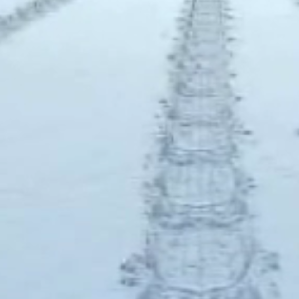 Trax in the snow20160619 2278 al7105 960x960